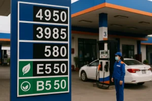 Chính phủ Việt Nam đang rà soát sửa đổi các nghị định về kinh doanh xăng dầu. Ảnh minh hoạ AI