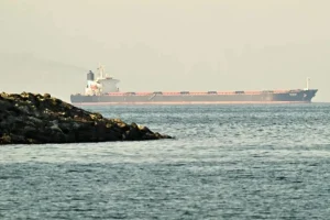 Một tàu chở hàng ở eo biển Hormuz ngoài khơi thành phố Fujairah hồi tháng 2-2026 - Ảnh: AFP