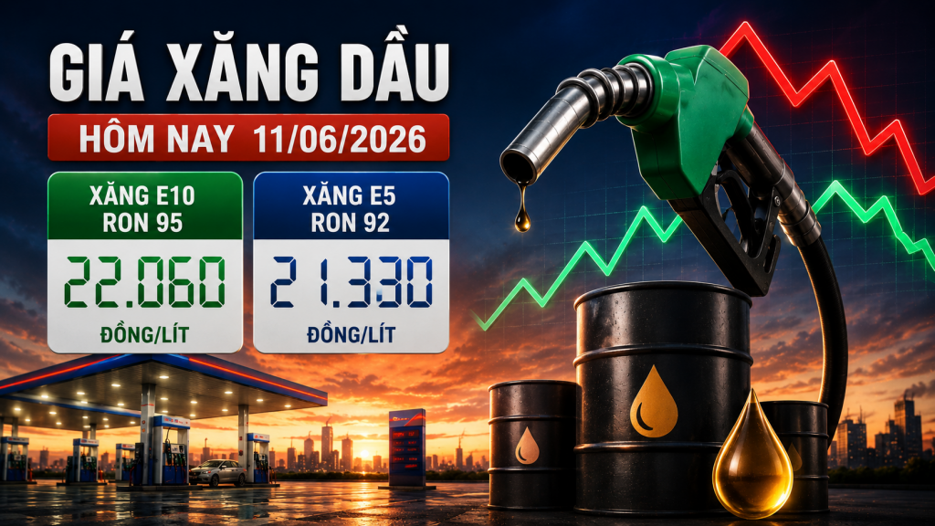 Giá xăng dầu hôm nay 11/06/2026: Xăng E10 giảm sát 22.000 đồng/lít, vắng bóng RON 95-III
