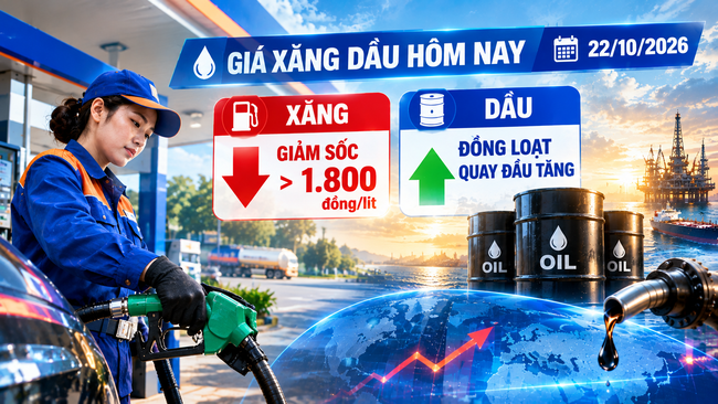 Giá xăng dầu hôm nay 22/10/2026: Xăng giảm sốc hơn 1.800 đồng/lít, dầu đồng loạt quay đầu tăng